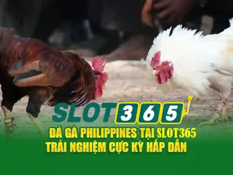 Các tính năng nổi bật của Slot365