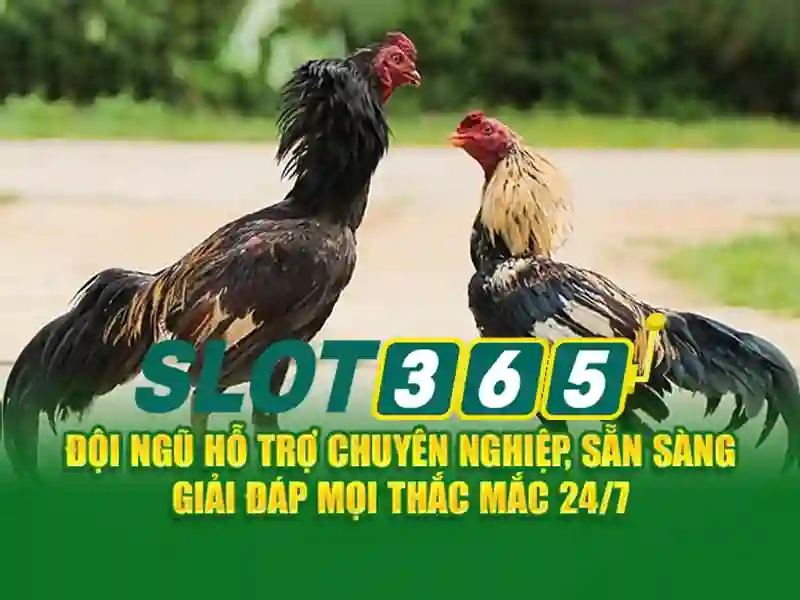 Slot365: Nền tảng slot trực tuyến an toàn và thú vị 1 Đăng Nhập