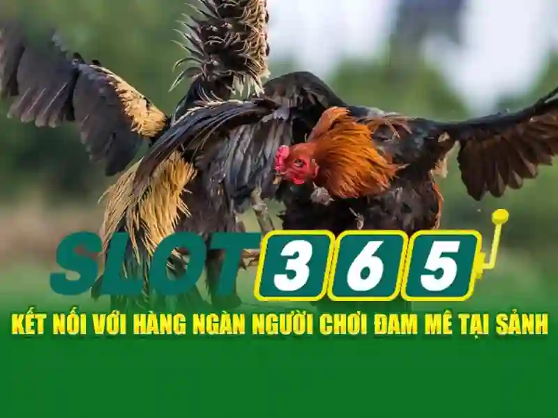 An toàn và bảo mật khi tham gia Slot365 An toàn và bảo mật khi tham gia Slot365