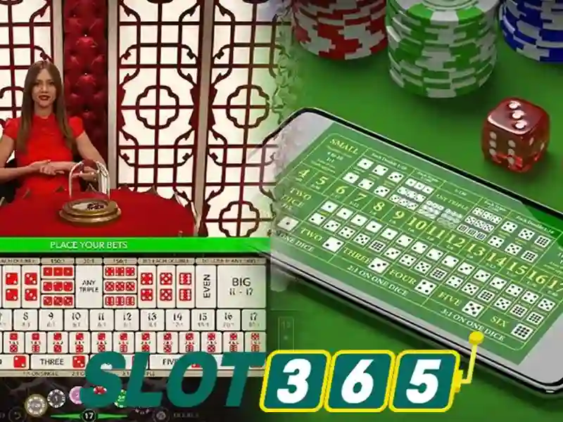 Slot365 là gì? Slot365 là gì?