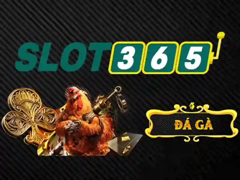Slot365 - Đánh giá chi tiết về nền tảng slot trực tuyến Go88