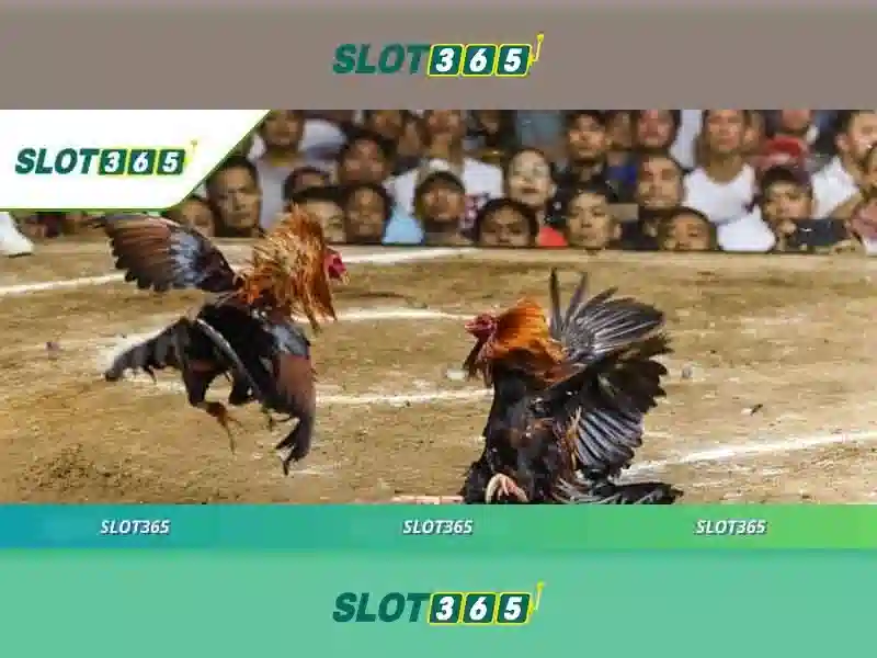 Soi kèo hiệp 1