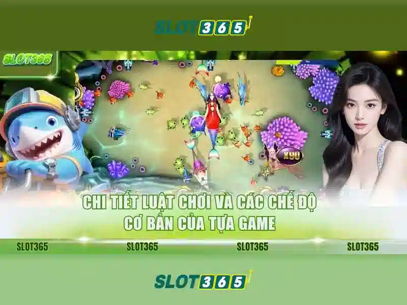 Slot365 là gì? Tổng quan về nền tảng Slot365 Soi kèo hiệp 1