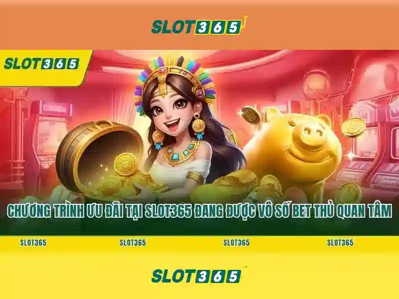 Slot365 là gì? Slot365 là gì?