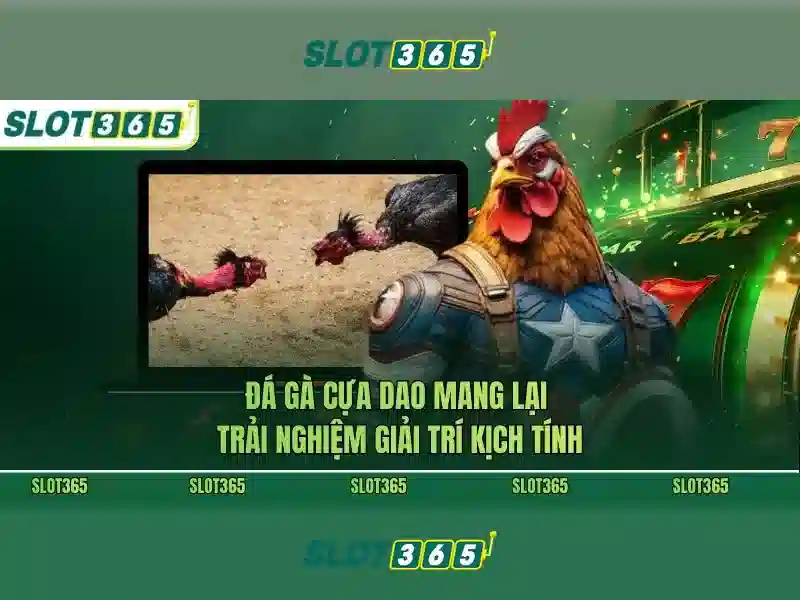 Khuyến mãi và chương trình thưởng Khuyến mãi và chương trình thưởng