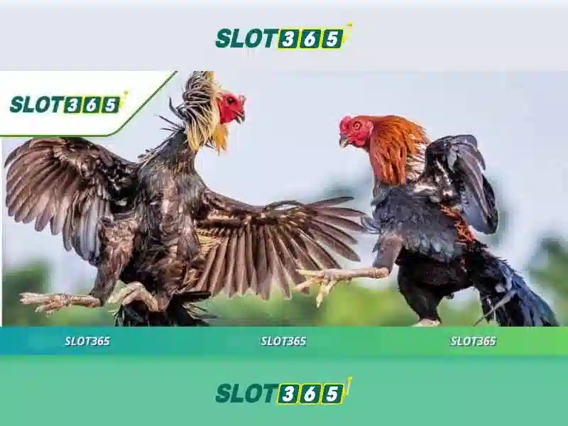 Giới thiệu về Slot365 Giới thiệu về Slot365