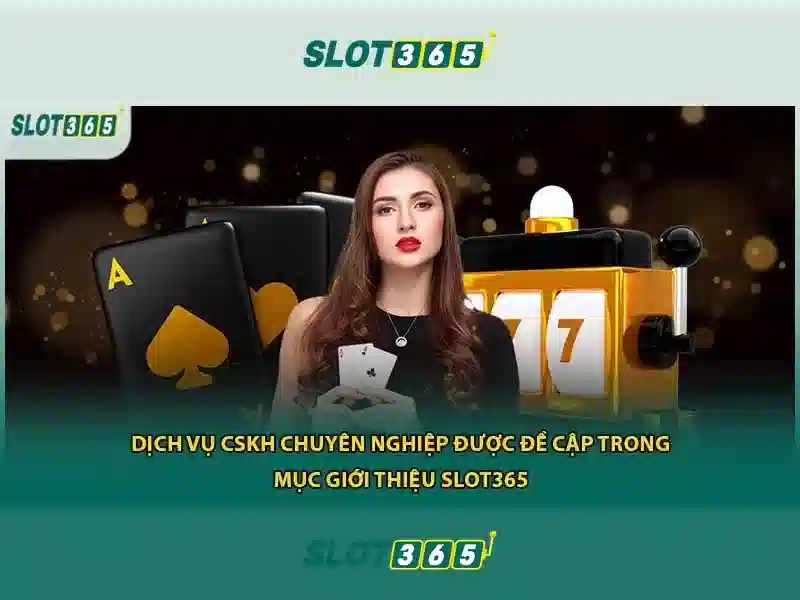 Trò chơi và danh mục