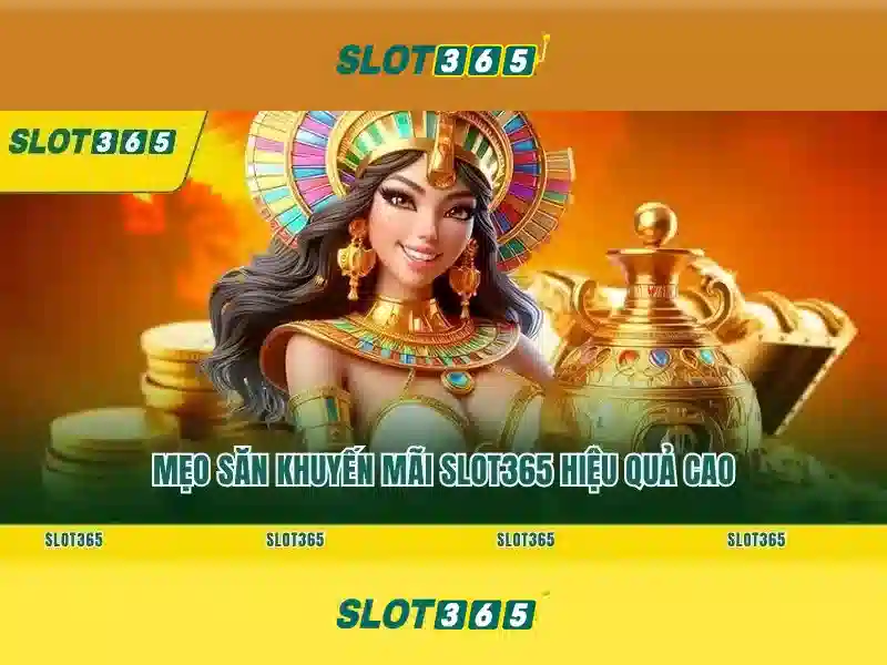 Slot365: Tổng quan về trải nghiệm chơi slot trực tuyến