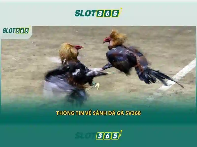 Slot365: Nền tảng giải trí xèng trực tuyến uy tín 1 Đăng Nhập