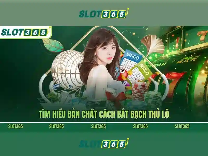 Slot365 là gì? Slot365 là gì?