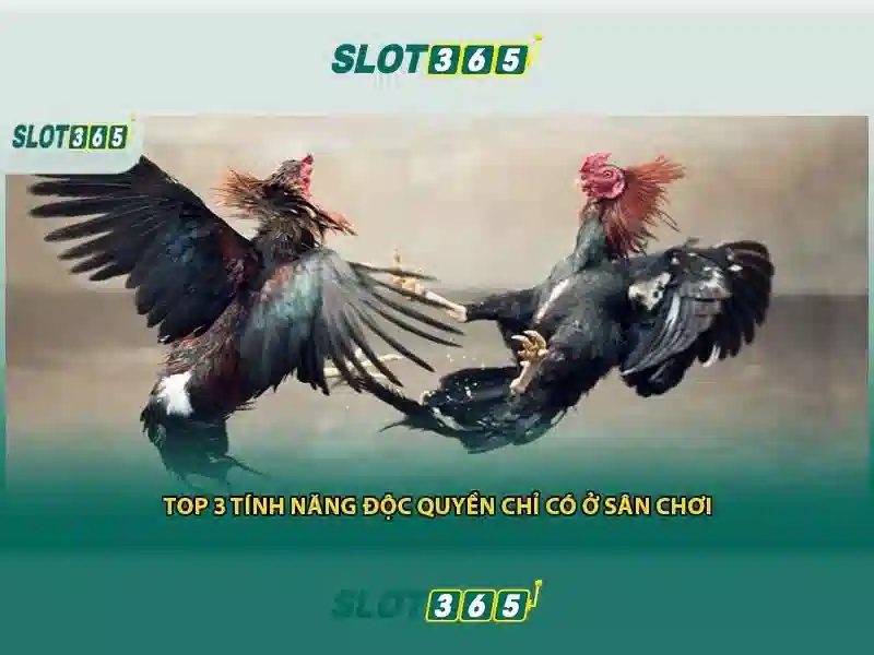 Slot365 là nền tảng chơi slots trực tuyến hiện đại Go88