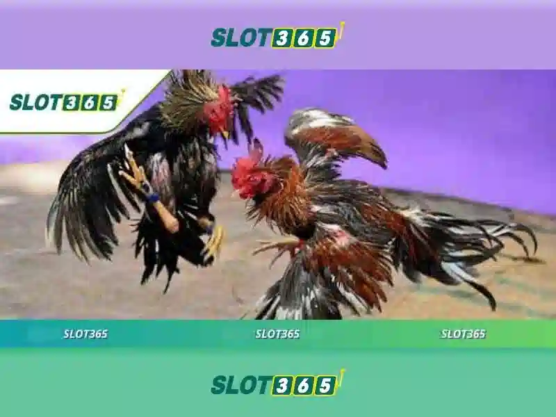 Slot365 - Nền tảng slot trực tuyến đáng tin cậy và giải trí đỉnh cao Go88