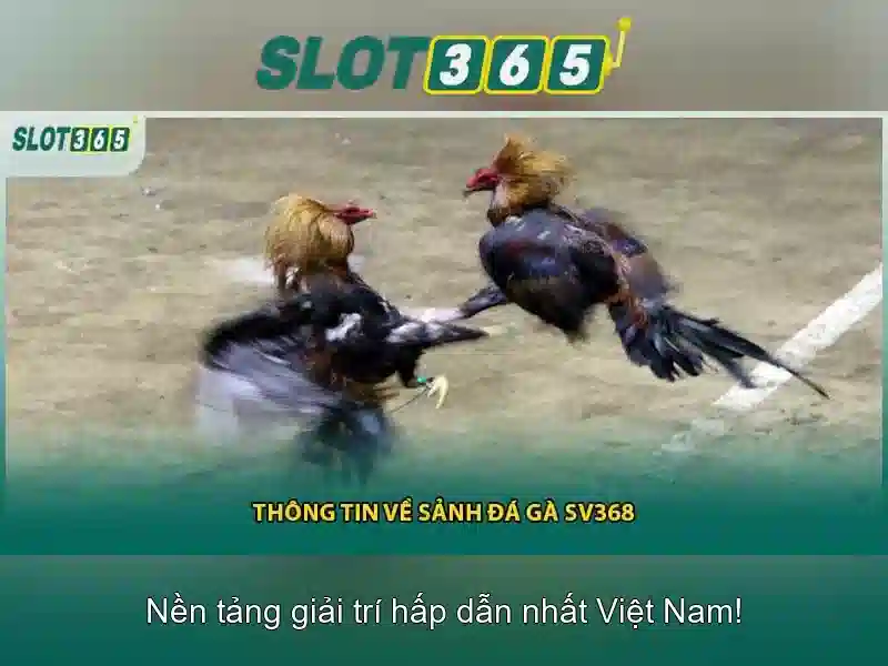 Slot365 - Nền tảng slot trực tuyến uy tín và nhiều trải nghiệm Go88