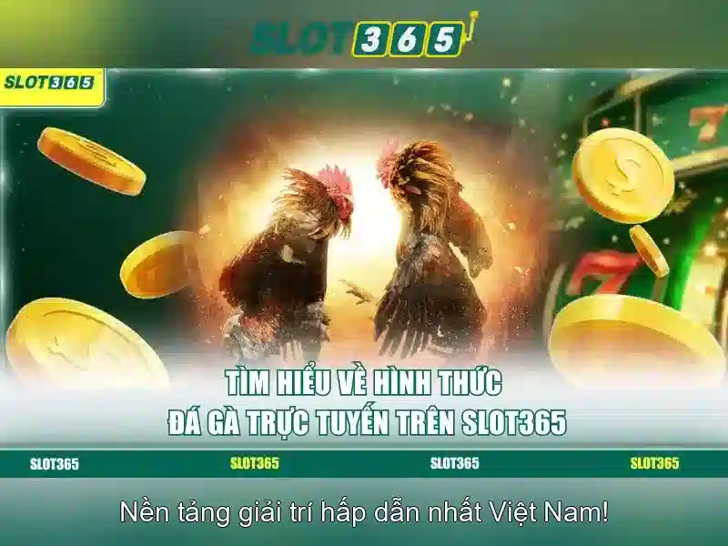 Slot365 – Nền tảng chơi máy slot trực tuyến uy tín 1 Đăng Nhập