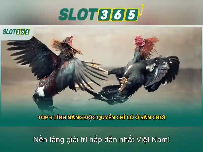 Slot365 – Nền tảng casino trực tuyến uy tín tại Việt Nam Go88
