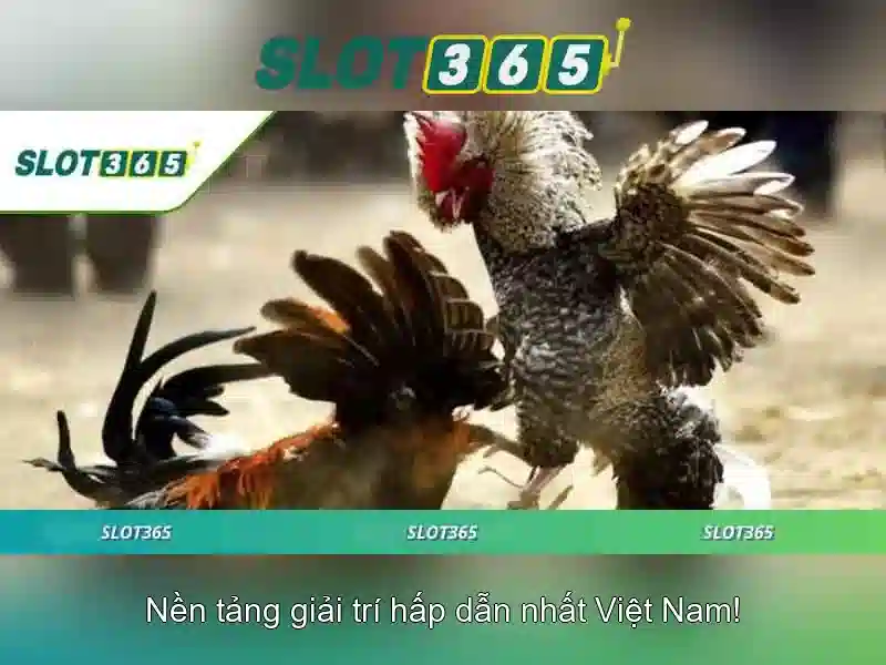 Slot365 – Nền tảng chơi máy đánh bạc trực tuyến Go88