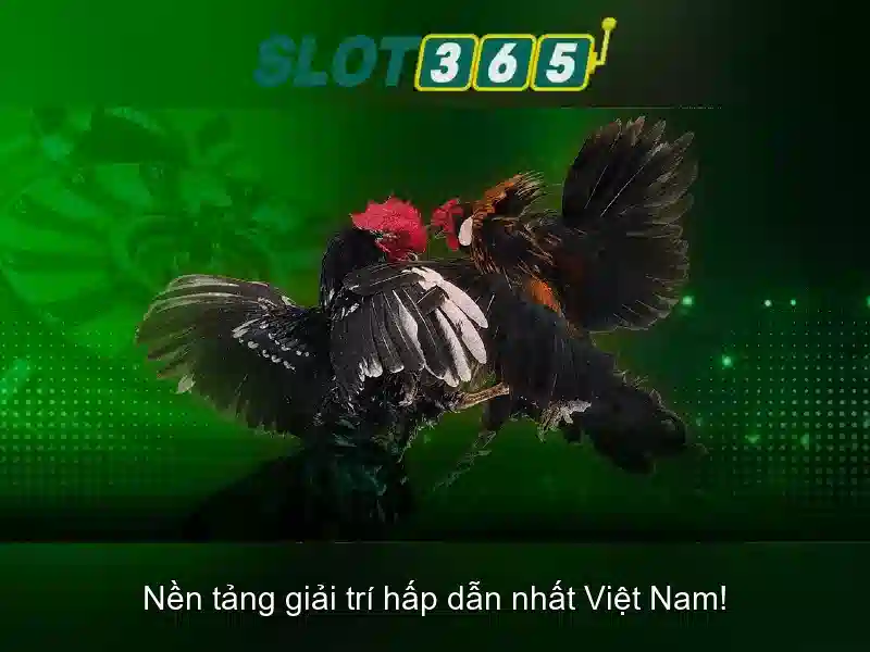 Slot365: Trải nghiệm casino trực tuyến hiện đại 1 Đăng Nhập