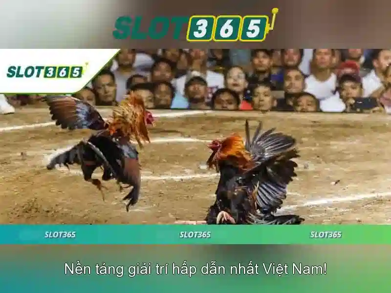 Slot365 – Nền tảng slot trực tuyến uy tín và đầy thú vị 1 Đăng Nhập