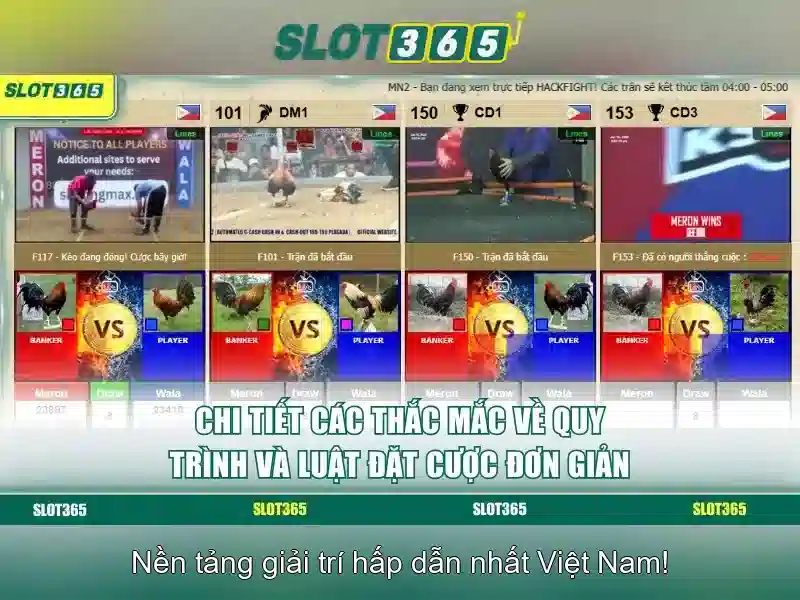 Slot365 là gì Slot365 là gì