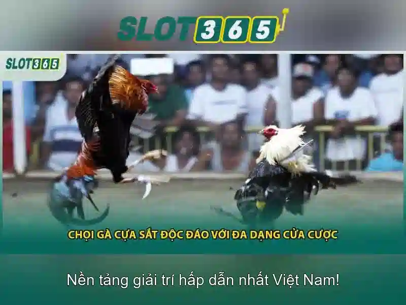 Giao diện và trải nghiệm người dùng