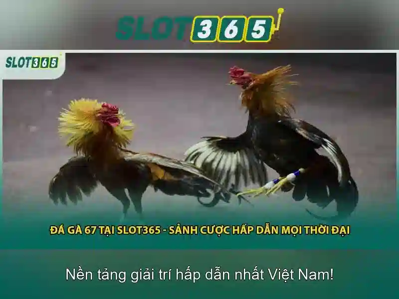 An toàn và bảo mật An toàn và bảo mật