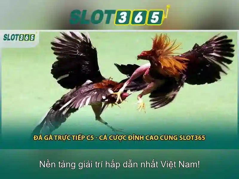 An toàn và chăm sóc người chơi An toàn và chăm sóc người chơi