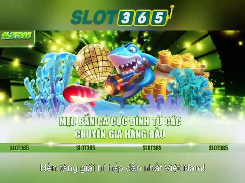 Trải nghiệm người dùng