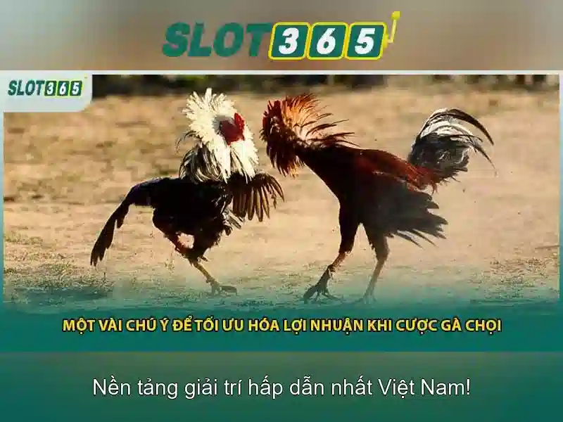 Danh mục trò chơi đa dạng Danh mục trò chơi đa dạng