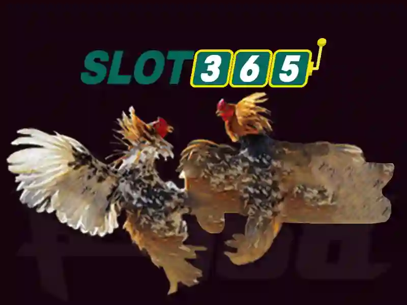Slot365 là gì và vì sao nổi bật trong thế giới casino trực tuyến Slot365 là gì và vì sao nổi bật trong thế giới casino trực tuyến