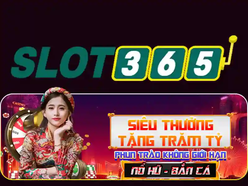 Trải nghiệm người dùng và giao diện
