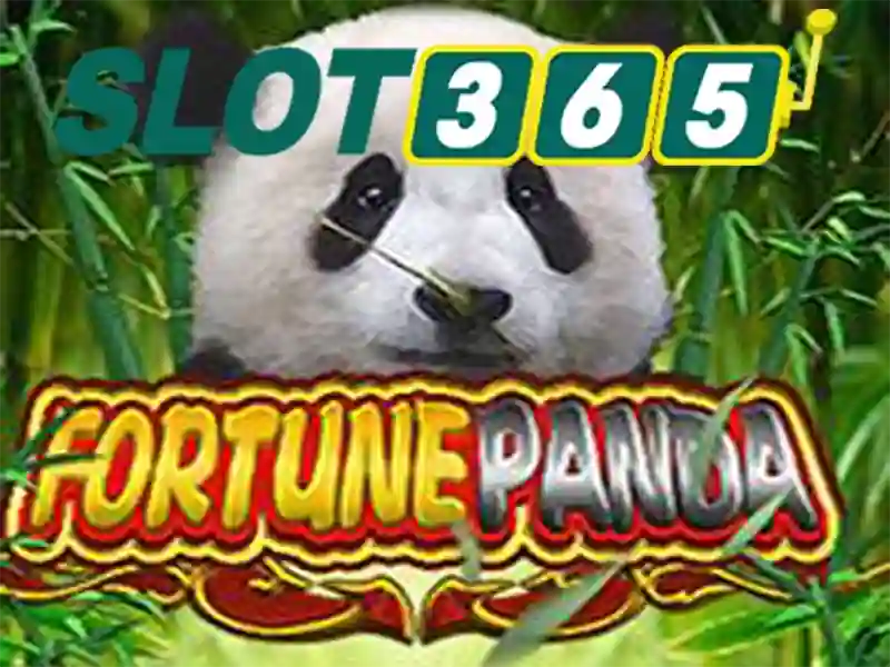 Slot365 là nền tảng chơi slot trực tuyến nổi tiếng